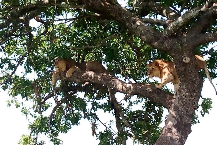 Tarangire National Park Full day Tour