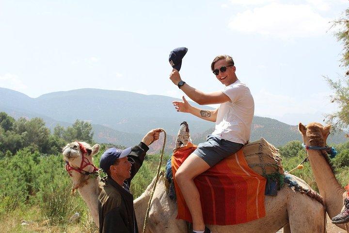 The Best Cultural Day Trip To The Atlas Mountains From Marrakech