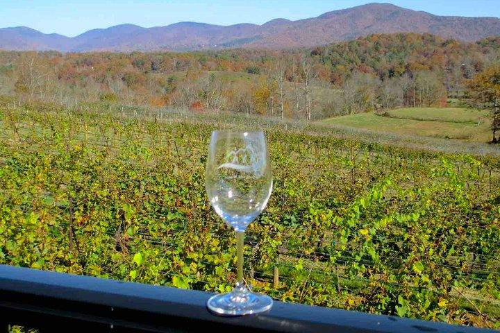 North Georgia Wine Country Tour from Atlanta