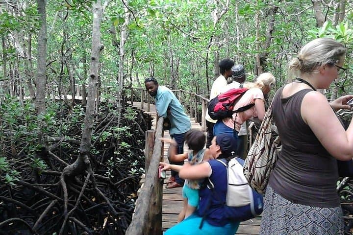 Jozani Forest and Village Tour in Zanzibar
