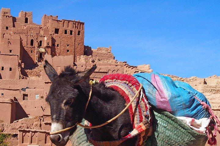 Ouarzazate group excursion
