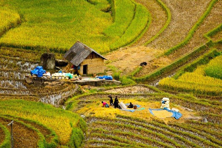 Sapa Villages trekking and homestay 2 Days/ 1 night package tour: best selling
