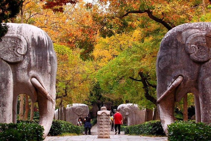 Nanjing Private Flexible Day Tour with Professional Guide and Driver Service