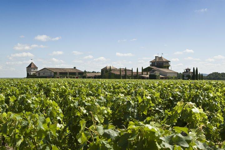 Pessac Leognan 4.5 hours Wine Tour in a Citroën 2CV from Bordeaux