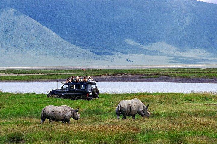 6 days Private Safari Tour Tanzania