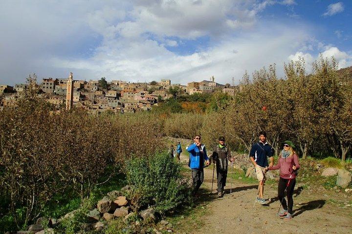 Marrakech: Atlas Mountains Day Trek To Talamrout Summit 2700m