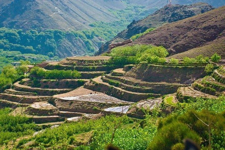Marrakech: Majestic Atlas Mountains and 3 valleys Tour