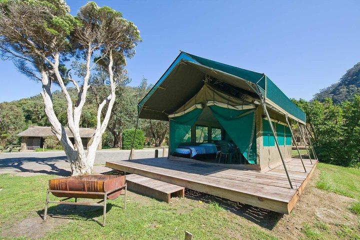 8 Days Tanzania Lodge Safari | Semi Luxury .