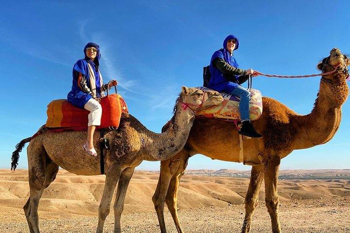Activity in Marrakech combined Buggy and camel ride