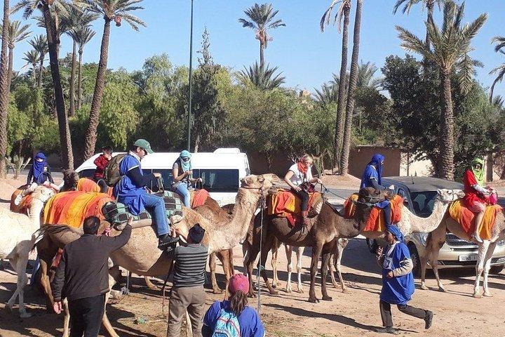 Activity in Marrakech combined Buggy and camel ride