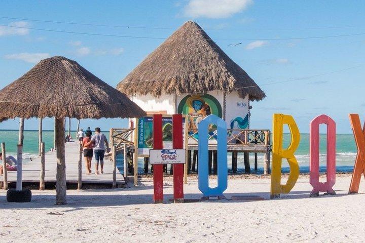 Holbox, Cenote & Two Island! + Punta Mosquito from Cancun