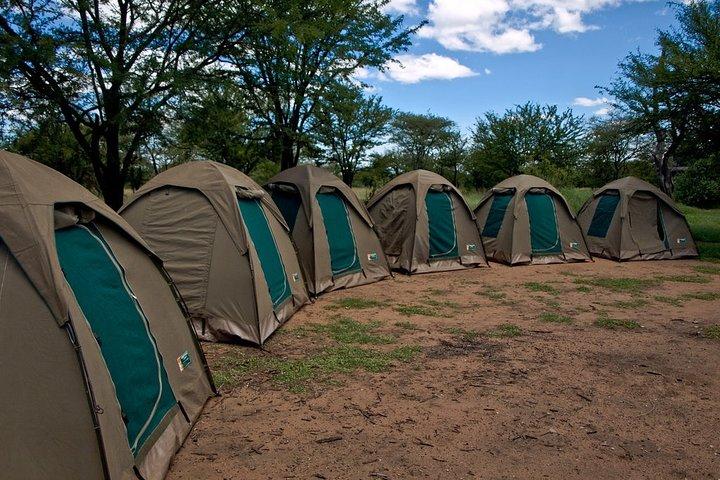 3 Days Budget Camping Safari Tour Tanzania