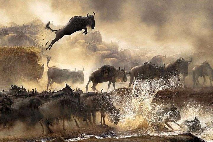 4 days Private Safari Tour Tanzania