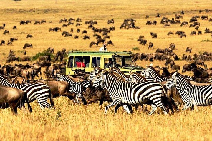 5 days Tanzania Camping Safari Tour
