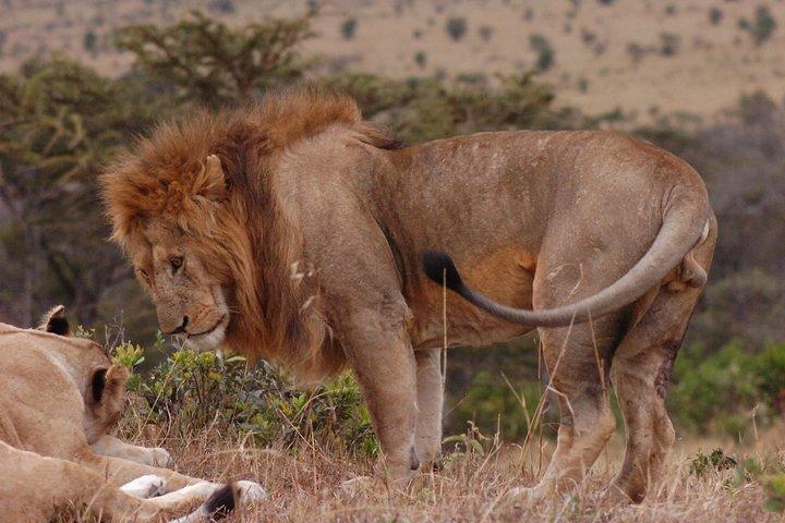 Arusha National Park Day Trip