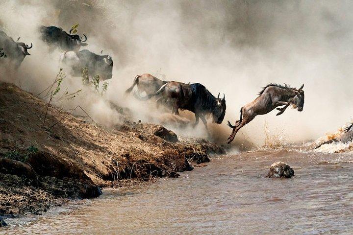 4 days Private Safari Tour Tanzania