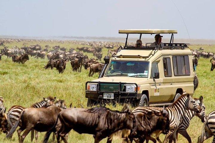4 days Serengeti and Ngorongoro Crater Tanzania Tour