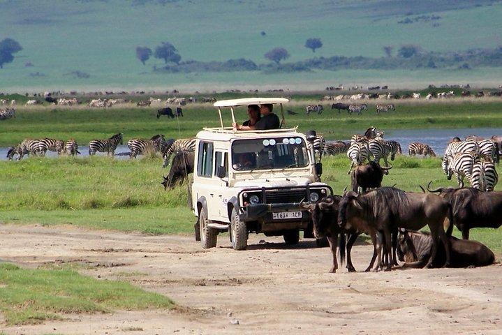 5 Days Tanzania Private Safari Tour