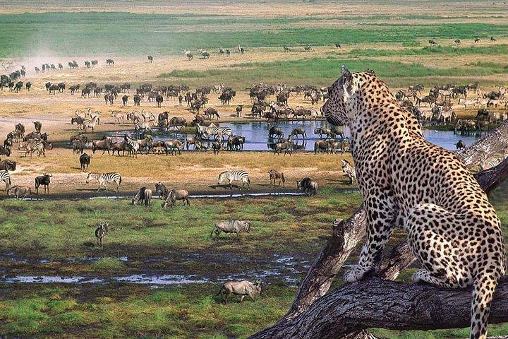 6 Days Tanzania Private Safari Tour