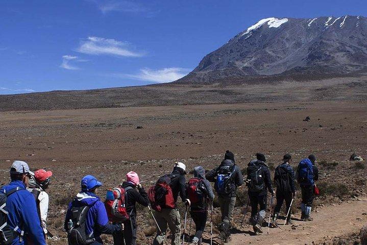 5 Days Mount Kilimanjaro Marangu Route climb