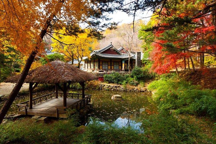 Korean Folk Village Private Tour