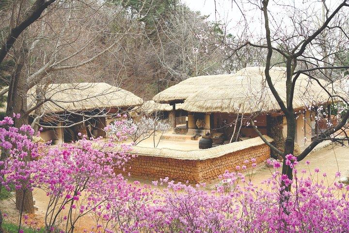 Korean Folk Village Private Tour