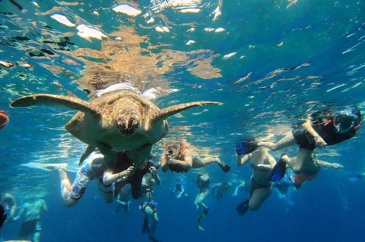 15 days Egypt tour package