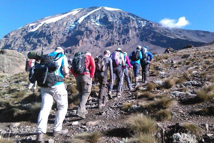 6 Days Mount Kilimanjaro Machame Route Climb