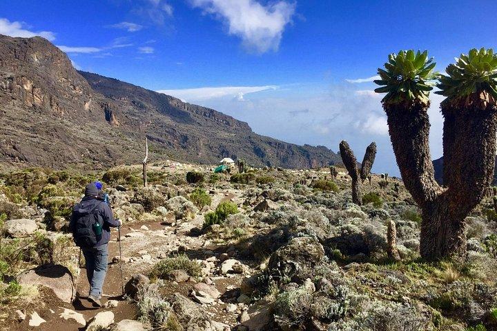 6 Days Mount Kilimanjaro Machame Route Climb