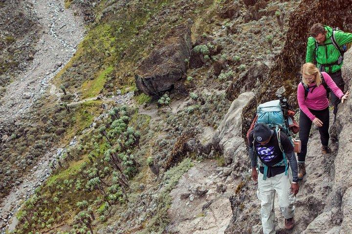 6 Days Mount Kilimanjaro Umbwe Route