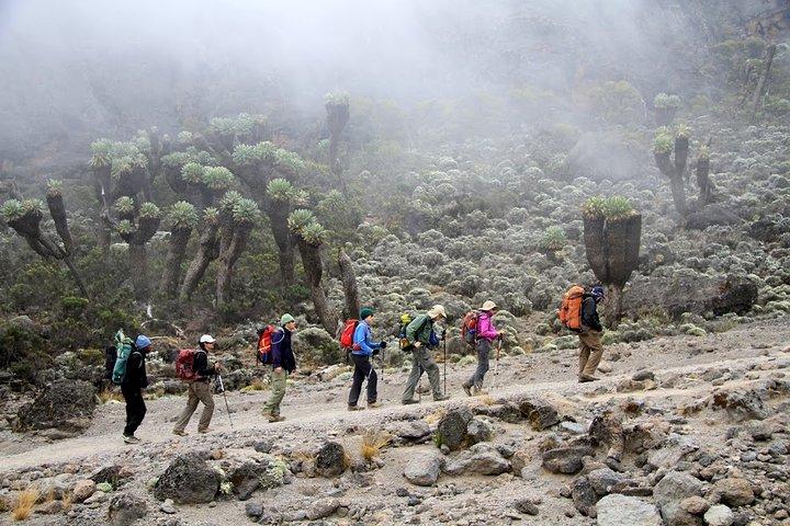 6 Days Mount Kilimanjaro Umbwe Route