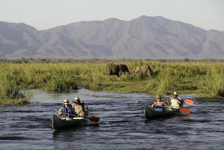 Arusha National Park Day Trip