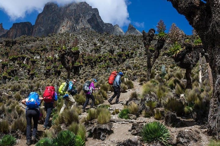 Mt. Kenya trekking 5 days Sirimon route
