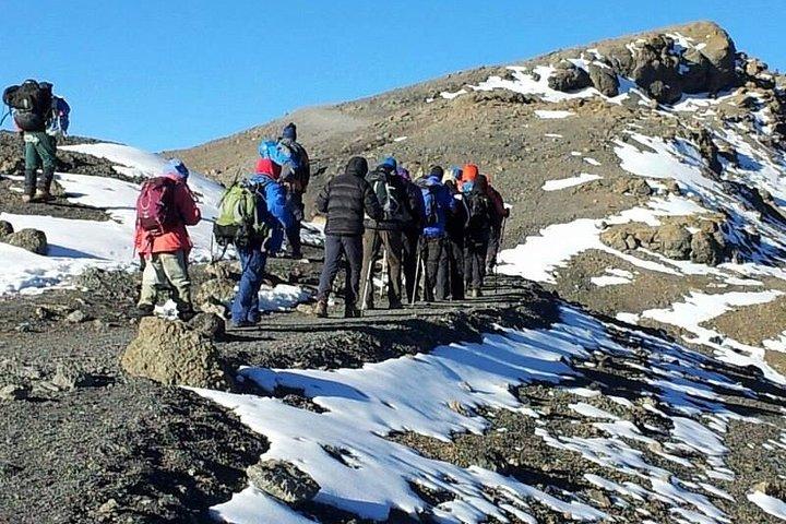 6 Day Mount Kilimanjaro Shira Route