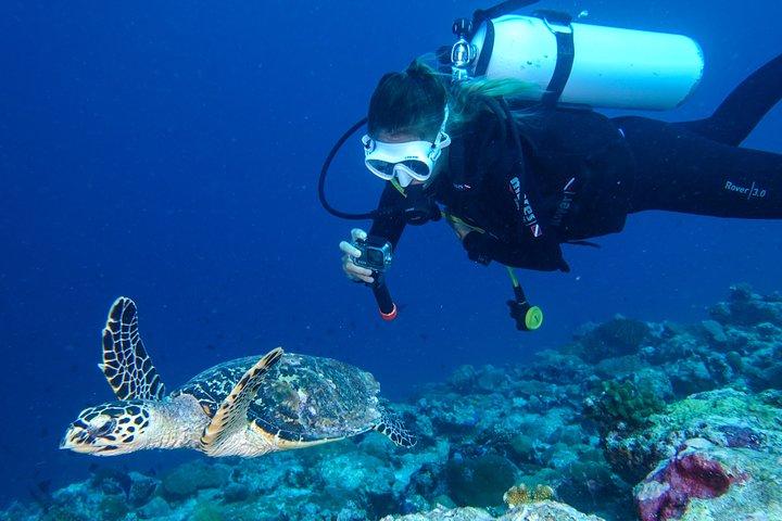 Discover Scuba Diving in Koh Lanta, Thailand