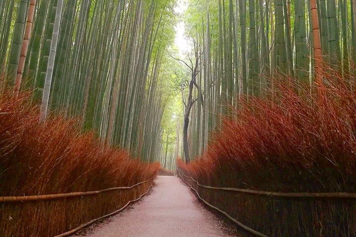 5 Top Highlights of Kyoto Full Day Bike Tour (E-bike option)