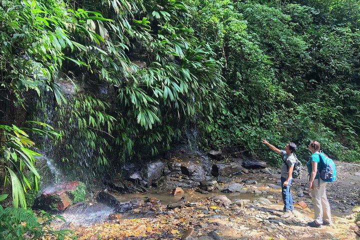The Native Expedition - Sierra Nevada (2 days Discovering Chorrerón waterfall)