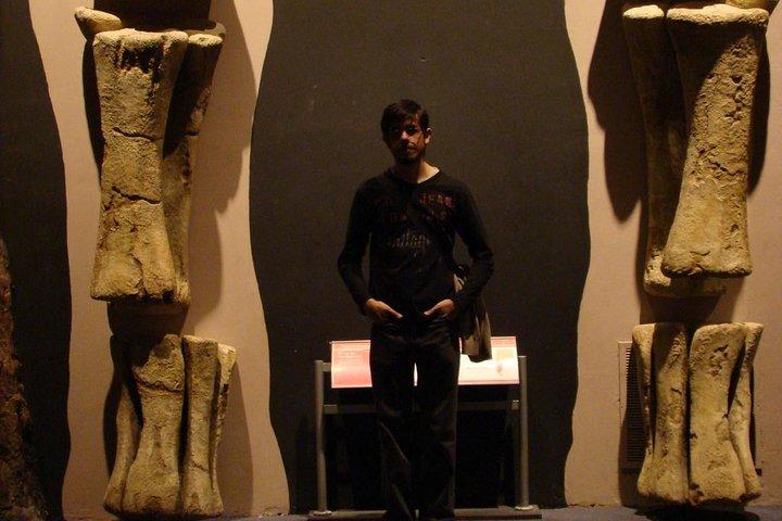 Puerto Madryn Shore Excursion: Private Tour of Trelew and Gaiman