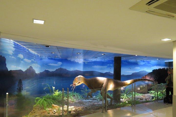 Puerto Madryn Shore Excursion: Private Tour of Trelew and Gaiman