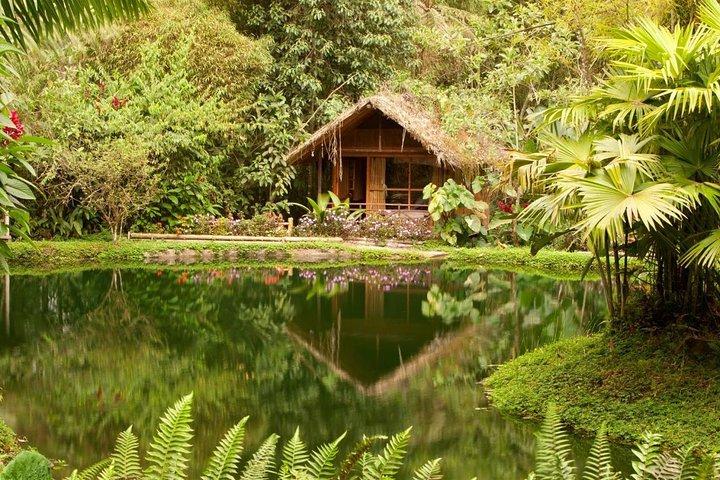 Private Mindo Cloud Forest Tour from Quito