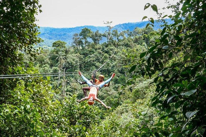 Private Mindo Cloud Forest Tour from Quito