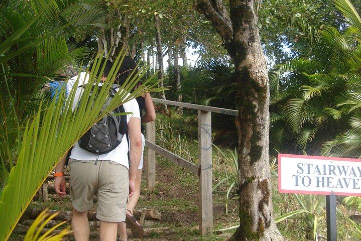 The Best of Saint Lucia Tour