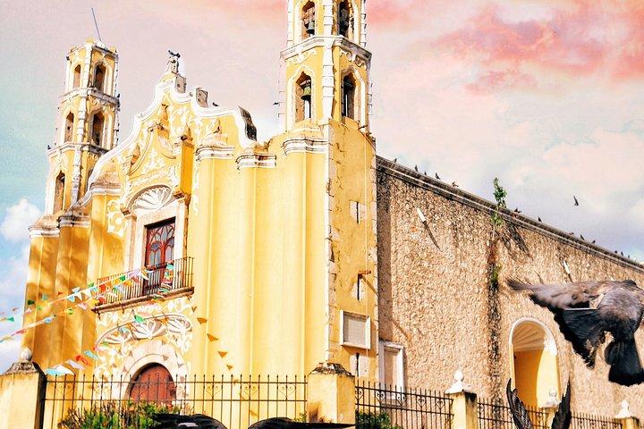Colonial City of Valladolid, Pink Waters of Las Coloradas and Pink Flamingos