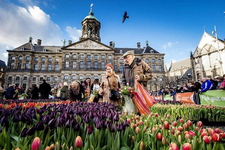 e-Scavenger hunt Amsterdam: Explore the city at your own pace