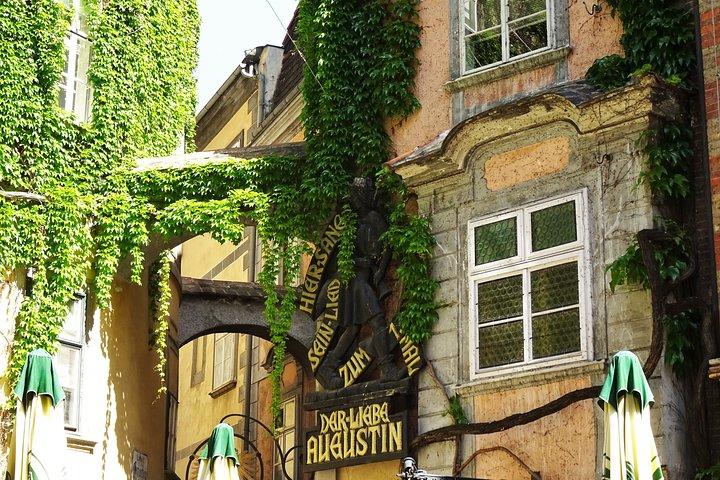 Hidden Gems in Vienna a Private Inner City Walk