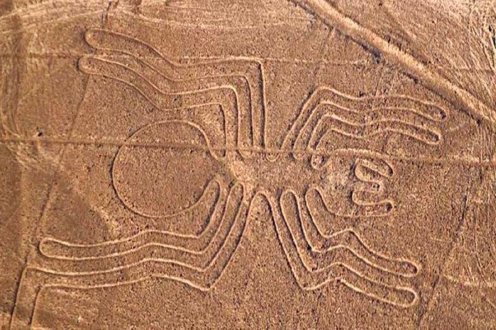 Nazca Lines Overflight Tour from Nazca