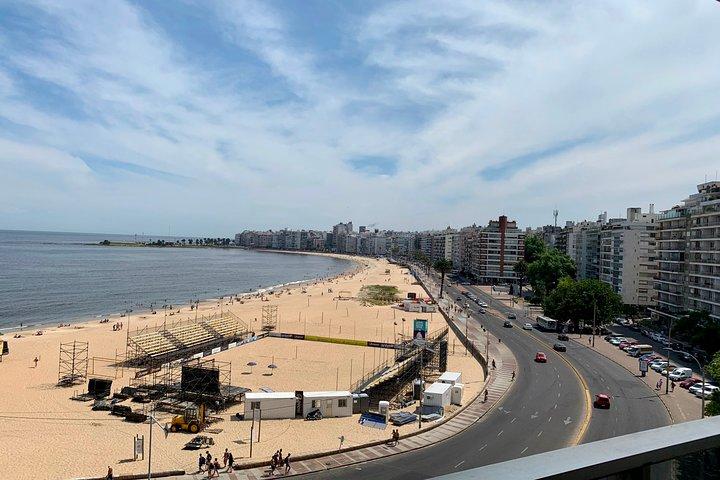 Best Private Montevideo Shore Excursion: City Tour. Optional WineTasting Tour.