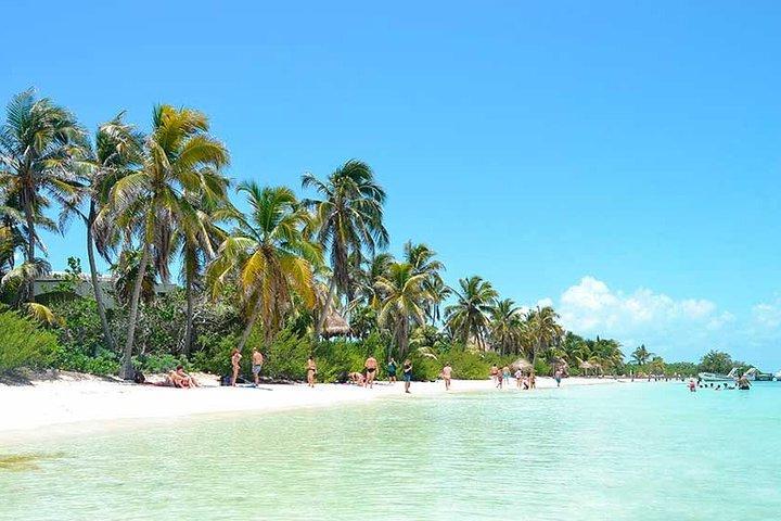 Contoy Island Tour from Playa del Carmen & Cancun