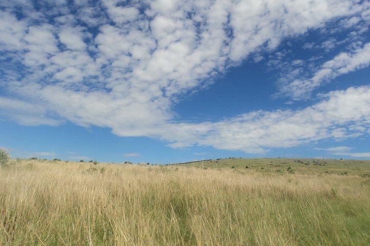 3-Day Budget Masai Mara Safari by Road for Families of 4+