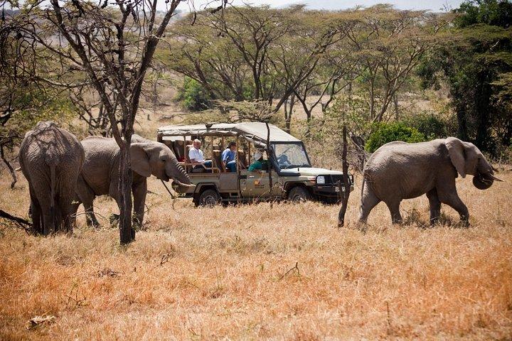 3-Day Masai Mara Safari in a Luxury Tented Camp